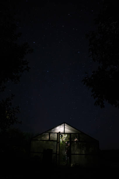 istock Greenhouse with light under stary sky at night in village 1410835530