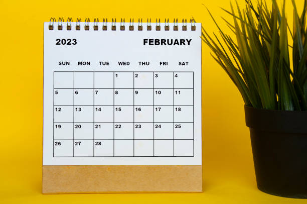istock February 2023 desk calendar with table plant on yellow background. 1410835646