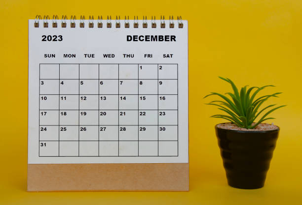 istock December 2023 desk calendar with table plant on yellow background. 1410835700