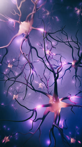 visualizzazione di neuroni e rete neurale con segnali - dendrite foto e immagini stock