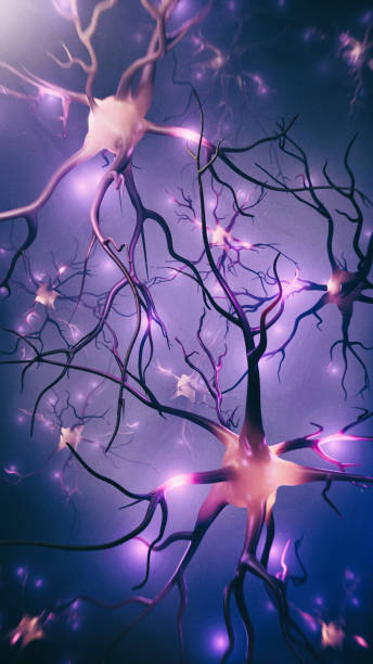 신호가 있는 뉴런 및 신경망 시각화 - neuroscience nerve cell nerve fiber dendrite 뉴스 �사진 이미지