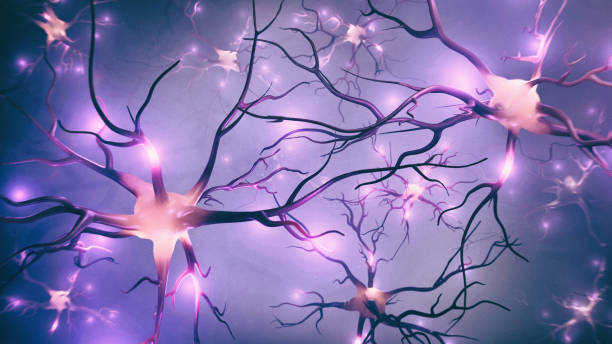 신호가 있는 뉴런 및 신경망 시각화 - neuroscience nerve cell nerve fiber dendrite 뉴스 사진 이미지