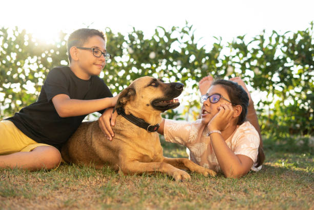 a boy and a girl are caress the dog horizontal photo stock photo