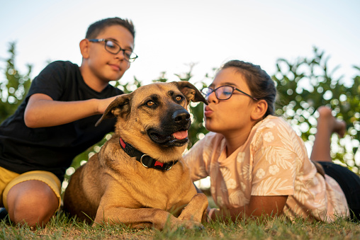 two kids is caress a dog girl is kissing the dog horizontal photo