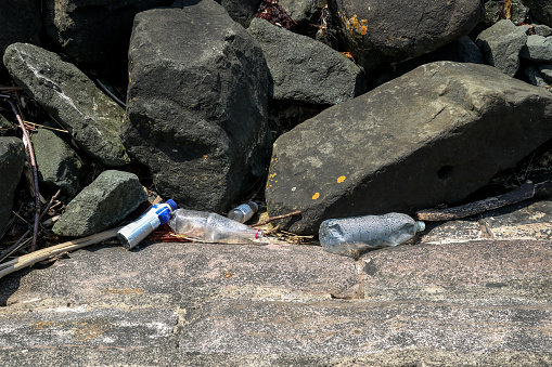 Discarded plastic bottle litter at a coastal location