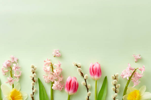 istock Spring flowers on a green background viewed from above. Top view. Copy space 1410840878
