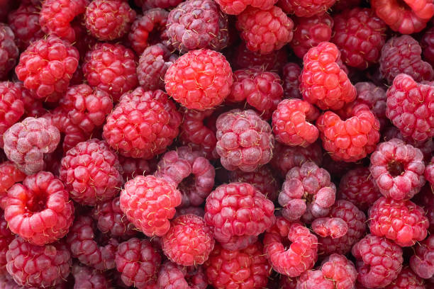 istock Raspberry background. Fresh red berries of ripe raspberries. organic berries 1410845194