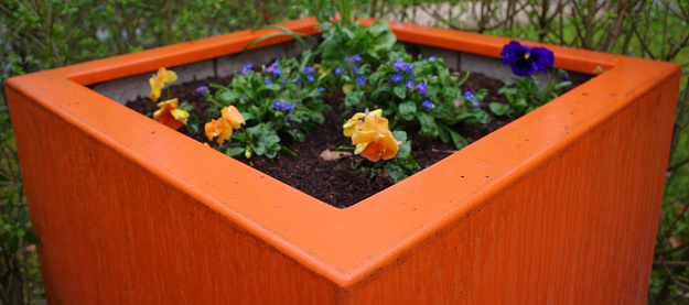 Large orange planter with orange and blue flowers. The orange flowers are pansies. The blue ones look like Forget-me-nots