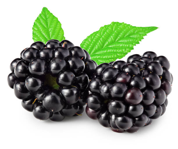 istock blackberries with leaves isolated on white background. clipping path 1410849174