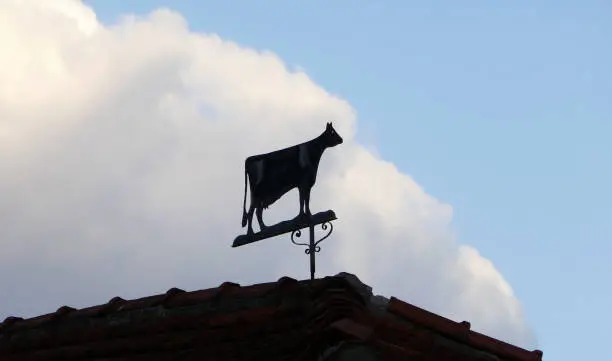 Silhouette of a cow weather vane. Seen on top of an old barn. There are no wind directions. The farmer probably knows this without arrows.