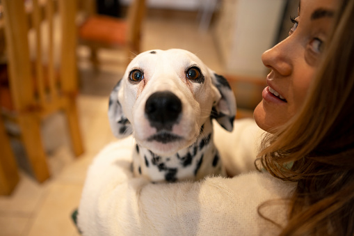 A close up, over the shoulder shot of a woman looking back at the camera while she is embracing her Dalmatian dog who is also looking at the camera at home in Northumberland, North East England.