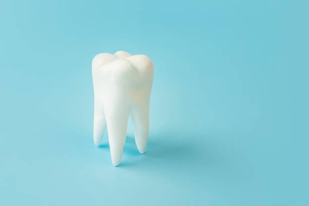 istock White healthy tooth on blue background copy space. 1410855095