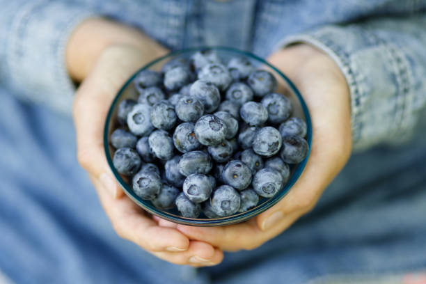 istock Plate with ripe blueberries in hands, close-up. 1410857908