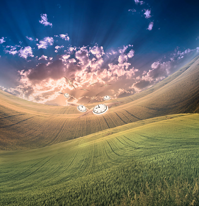 Time takes flight in peaceful landscape. 3D rendering