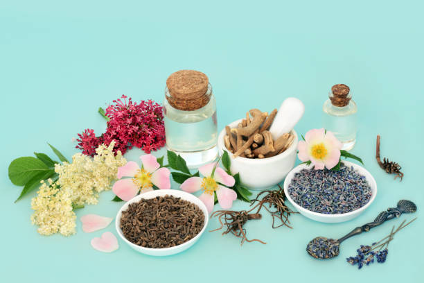 istock Homeopathic Alternative Natural Herbal Plant Medicine 1410860502