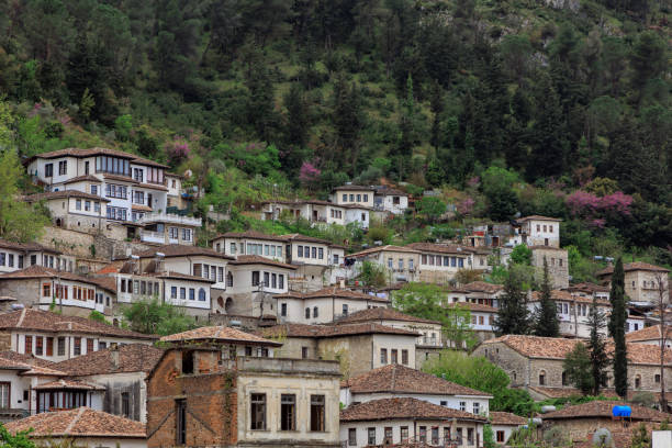 istock Berat typical houses detail 1410867799