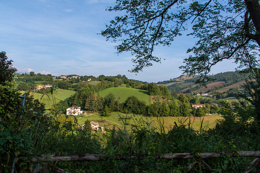 A sunny September view between trees on the hilly, green landscape of Le Marche in Italy, near the town of Amandola, which is wedged between the Adriatic coast and the mountain ranges of the Apennines.