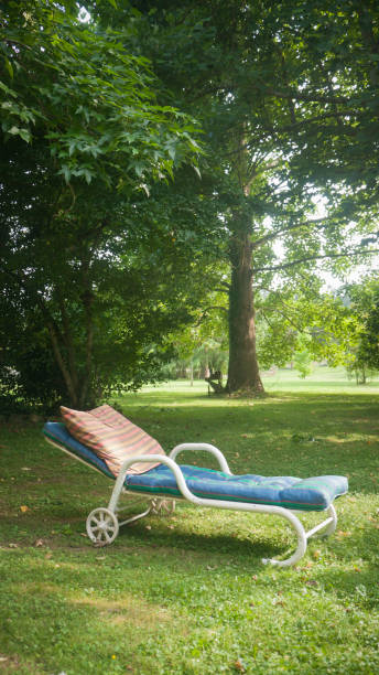 istock Deck chair with cushion in a green garden 1410872231