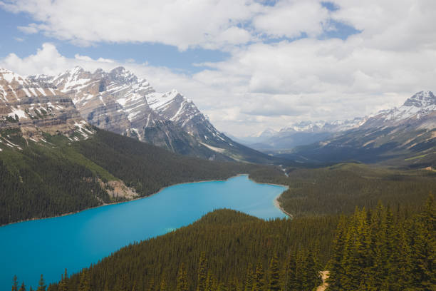 istock Peyto Lake, Alberta. Canada 1410873974