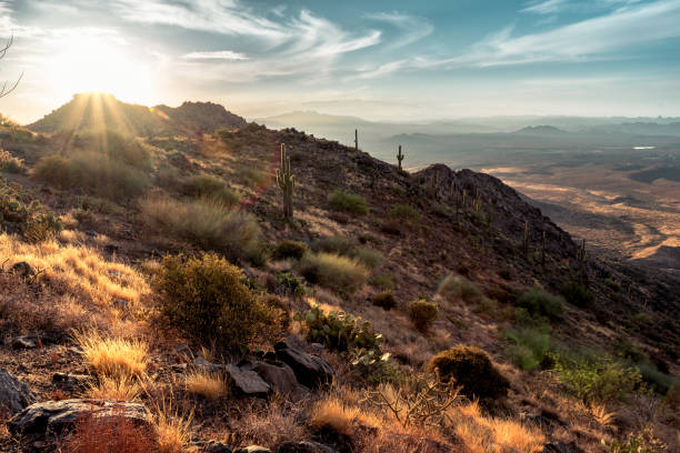 istock Sunrise in the Majestic McDowell Mountains 1410877474