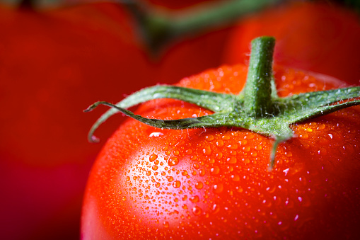 Close up shot of a fresh tomato with water droplets and tomatoes in the background. 
Shot with 100mm Macro lens.