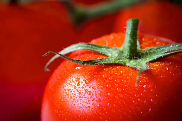 Photo of Tomatoes,  close up.