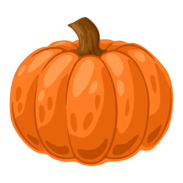 Vector illustration of Illustration of pumpkin. Decorative image of autumn vegetable.