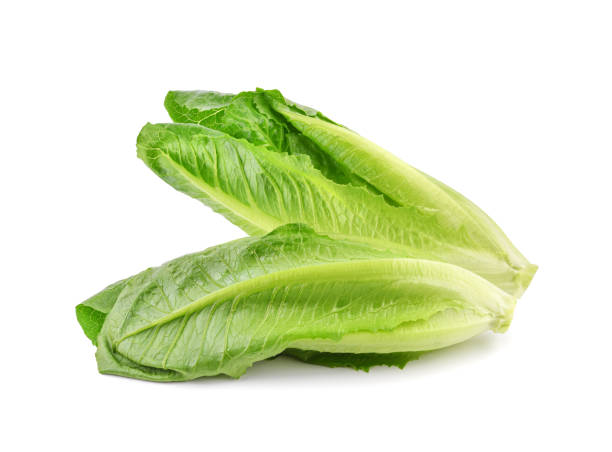 istock Fresh green cos lettuce isolated on white 1410884374