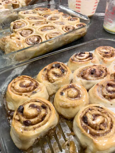 Golden brown, sweet, glazed cinnamon rolls with rains and nuts. Sticky with butter and brown sugar. Metal Spatula digging in to next cinnamon roll in the row