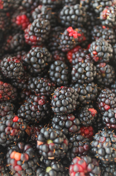 istock Full frame of blackberry fruit close-up 1410886366