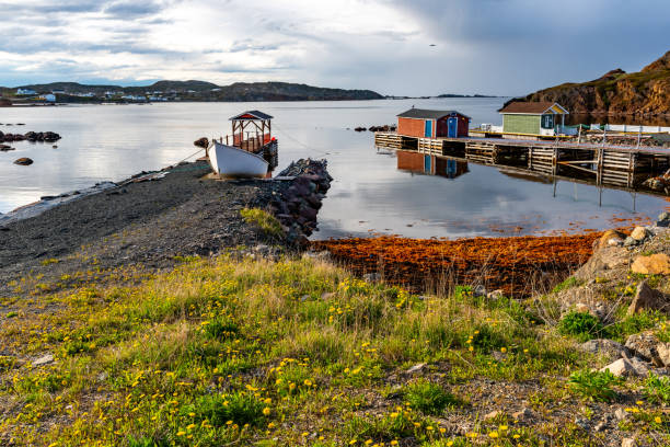 istock The pier view in the morning, Twillingate, Canada 1410886808