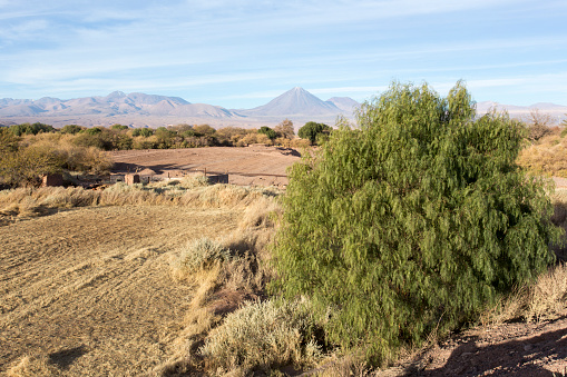 View of desert landscape in San Pedro de Atacama, Chile