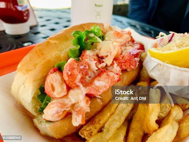 Fresh Maine Lobster Roll Stock Photo - Download Image Now - Lobster Roll, Maine, New England - USA