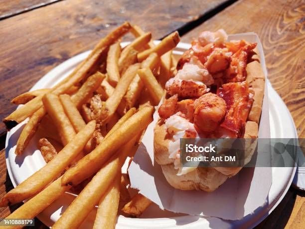 Fresh Maine Lobster Roll Stock Photo - Download Image Now - Foodie, Lobster - Animal, Lobster - Seafood