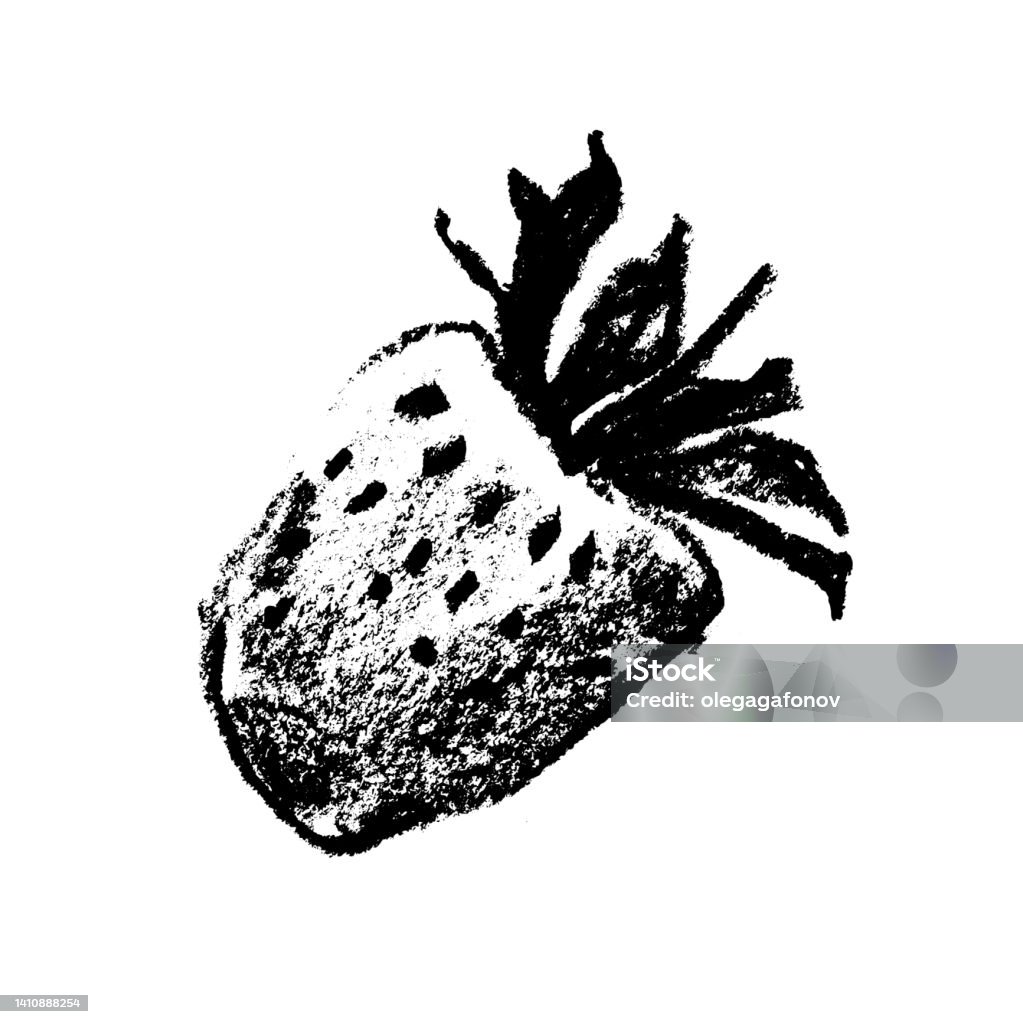 Vektorerdbeerzeichnung Isoliert Schwarze Handgezeichnete Vektorerdbeerzeichnung Isoliert Schwarze Handgezeichnete