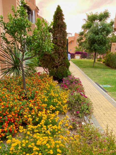 istock Beautiful flowers in Spain 1410889803