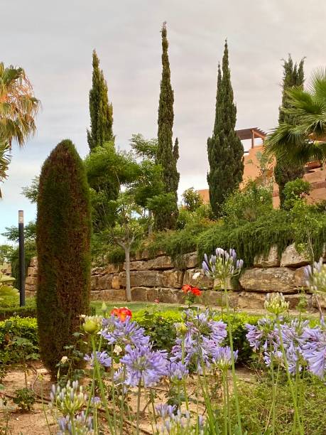 istock Beautiful flowers and trees in Spain 1410891014