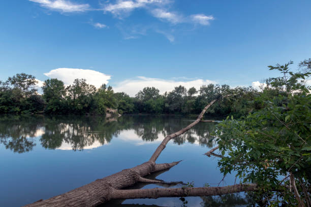istock The river flows through the forest. Summer trees and shrubs along the river bank. This evening sky and light 1410892600