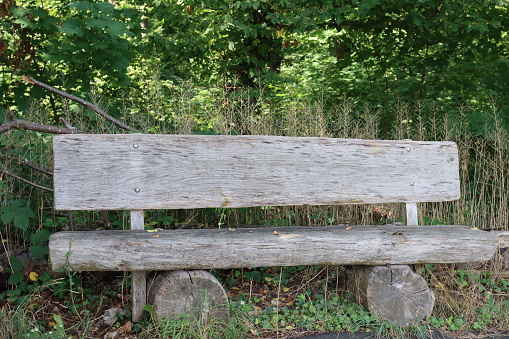 Old wooden bench at the edge of the forest
