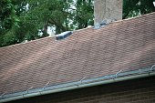 home-exterieur-in-verfall.jpg?b=1&s=170x170&k=20&c=jhaLWS-Bsru1a2vs-Qr6QMUY50Pkwen9qrnCOWVE_GM=