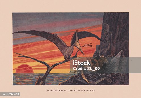 istock Nyctosaurus, Late Cretaceous period, chromolithograph, published in 1900 1410897983