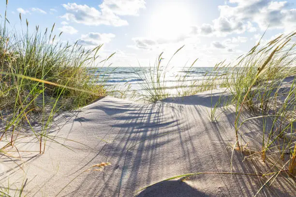 Photo of Sandy beach and dune with grass at the Baltic sea beach. Beautiful sea landscape