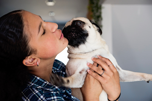 Half-cuban teenage girl and her cute pug at home. She has thick black hair in a ponytail and is wearing a checkered shirt. Horizontal headshot indoors with copy space.