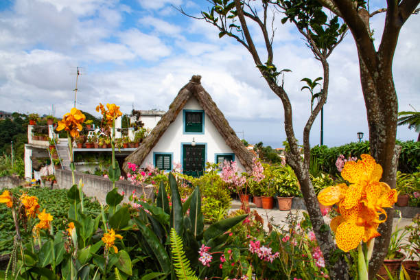 Diversity of flowers surrounding a famous triangular house, typical of Santana in Madeira