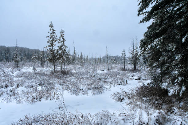 istock Snow covered lake in a blizzard 1410904426