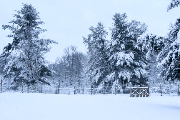 istock Rural wintry scene with wooden gate 1410904623
