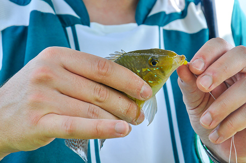 Man holding a caught Astyanax (Lambari) fish