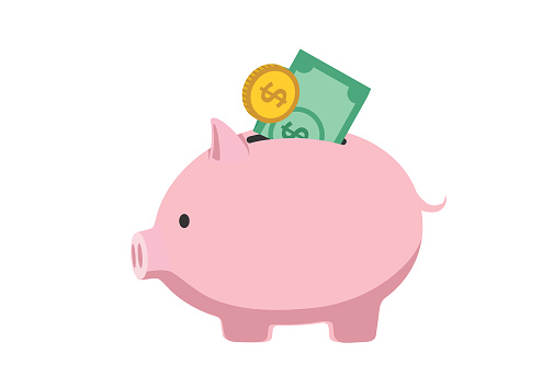 Piggy bank with coin and money on white background