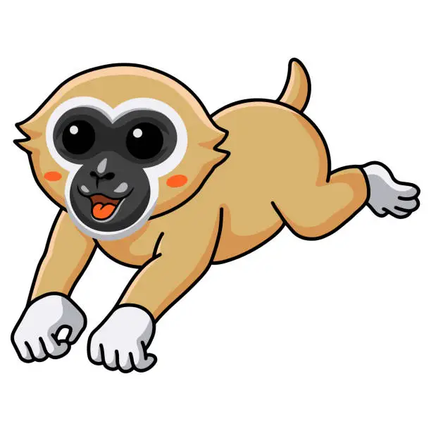 Vector illustration of Cute white handed gibbon monkey cartoon jumping