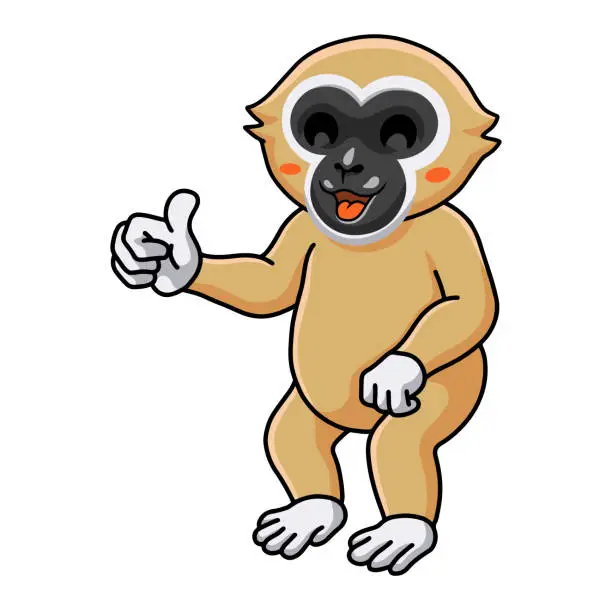 Vector illustration of Cute white handed gibbon monkey cartoon giving thumb up